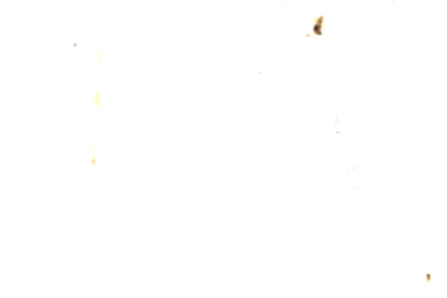 Image 118